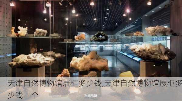 天津自然博物馆展柜多少钱,天津自然博物馆展柜多少钱一个