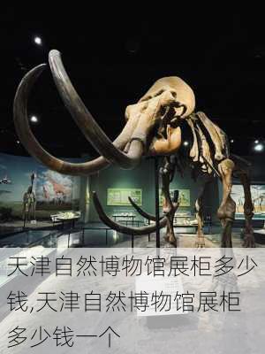 天津自然博物馆展柜多少钱,天津自然博物馆展柜多少钱一个