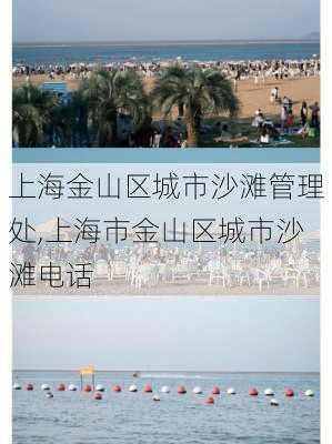 上海金山区城市沙滩管理处,上海市金山区城市沙滩电话
